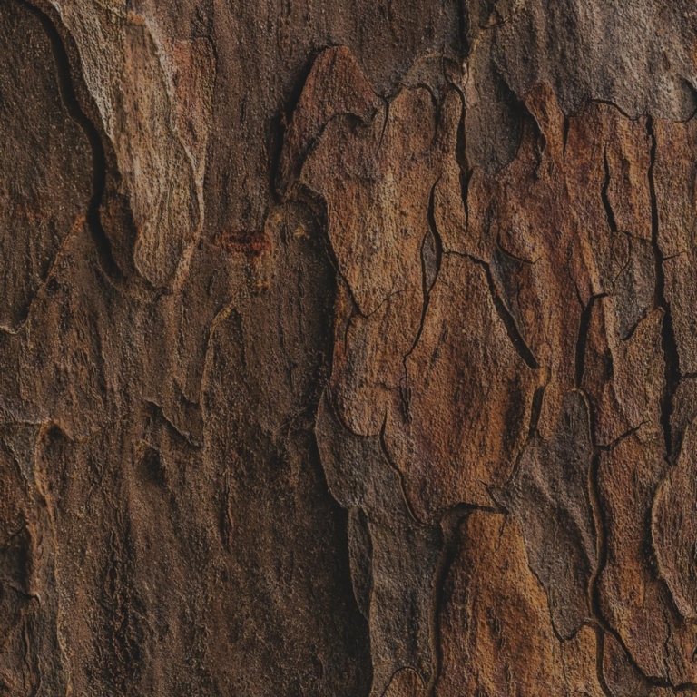 Rendez-vous des écomatériaux – En un clin d’œil