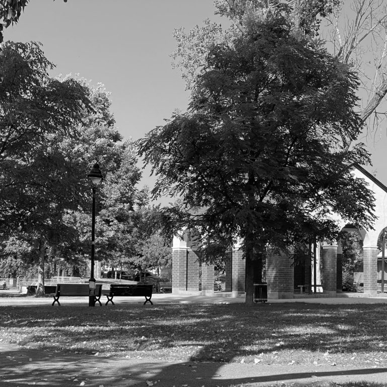 Les parcs : entre vision d’ensemble et réalités sociales