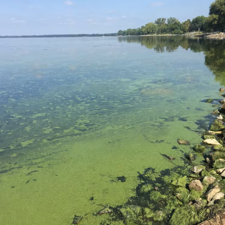 Déclinaisons sur l’eau