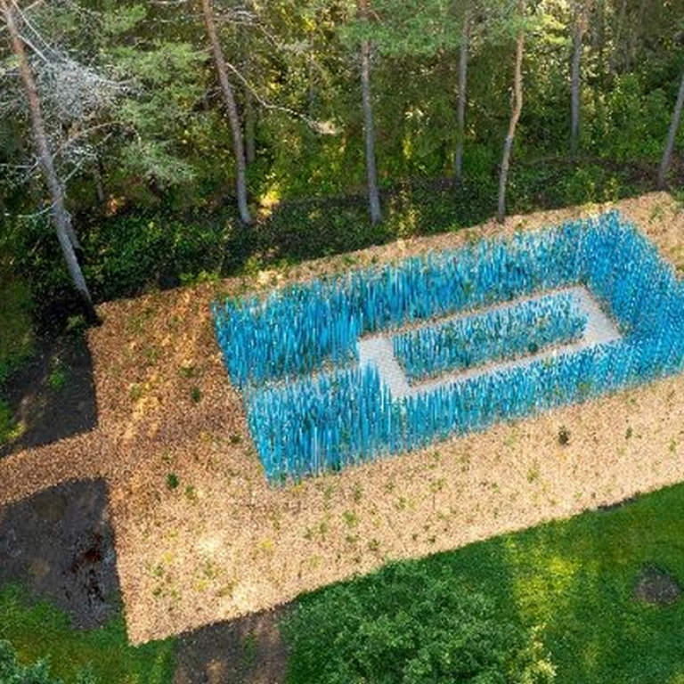 La forêt de bâtons bleus prend racine