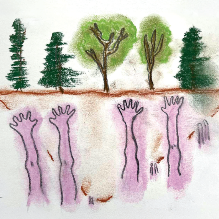 Fiducie Emprises &ndash; Un exemple pour le reboisement urbain