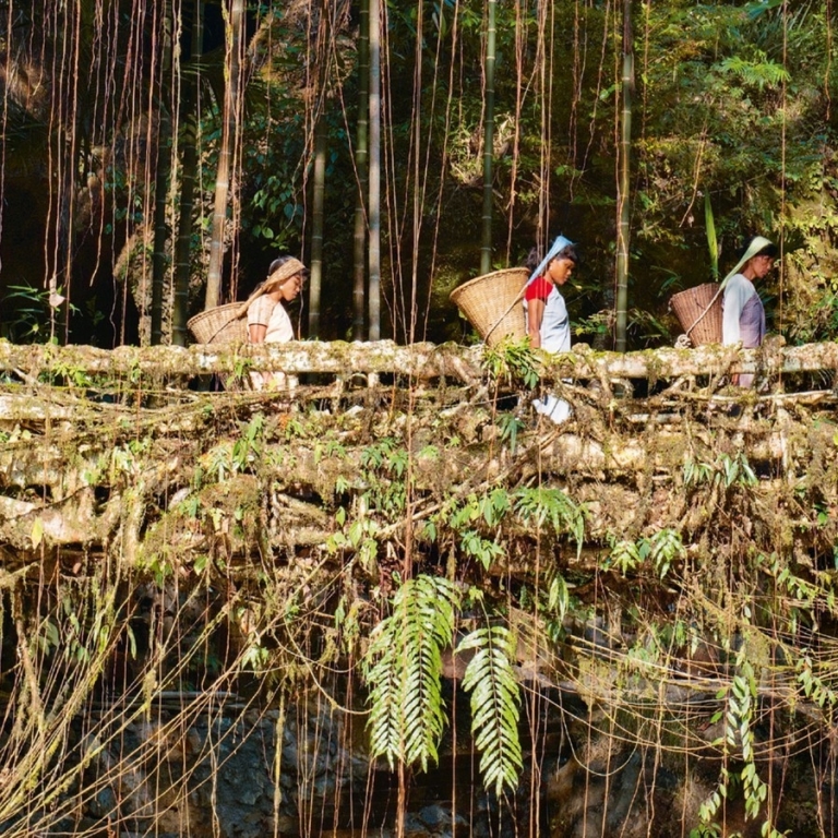 Le mouvement low-tech – Mieux construire