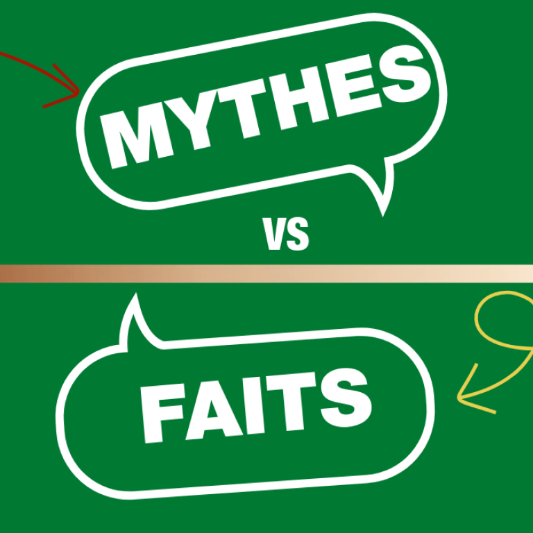 Démystifier les mythes courants sur l’isolation en mousse giclée