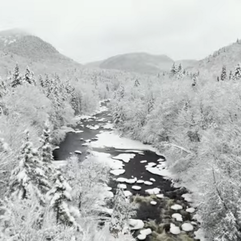 Revitaliser les territoires &ndash; Projet de soci&eacute;t&eacute;, id&eacute;al de civilisation