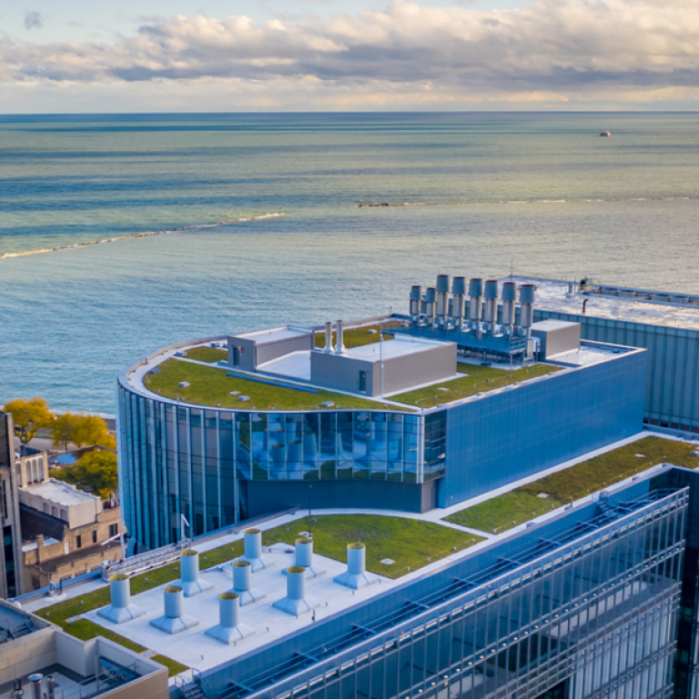 Toitures v&eacute;g&eacute;talis&eacute;es et toits bleus &ndash; Techniques de gestion des eaux pluviales dans les environnements urbains modernes