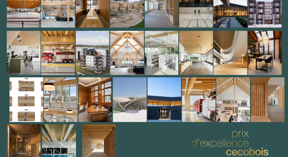 Prix d’excellence Cecobois 2025 – Les lauréats