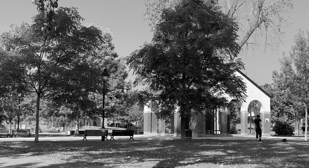 Les parcs : entre vision d’ensemble et réalités sociales