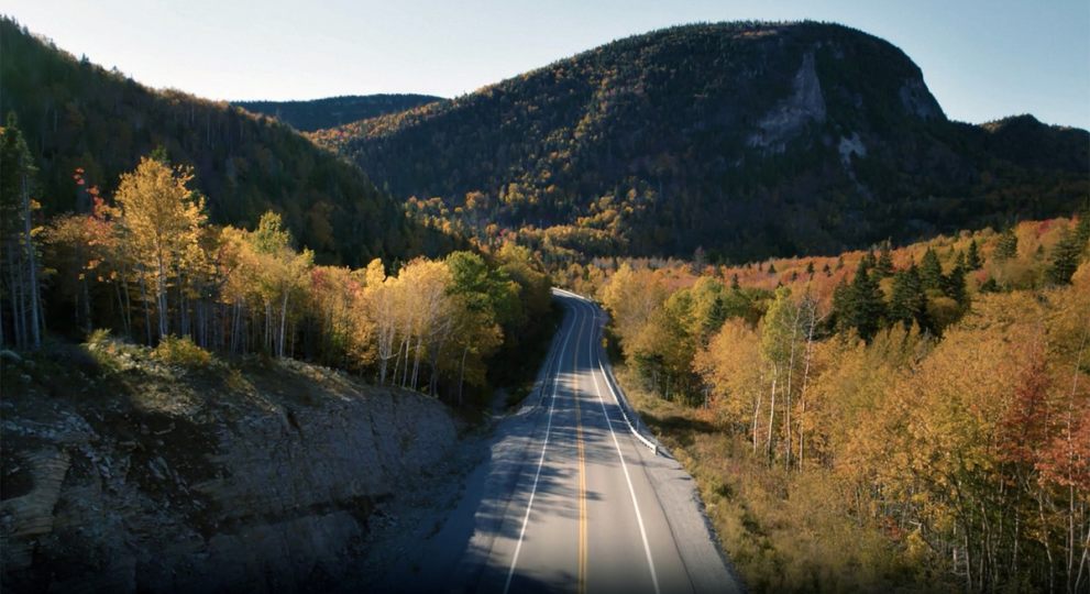 La connectivité écologique