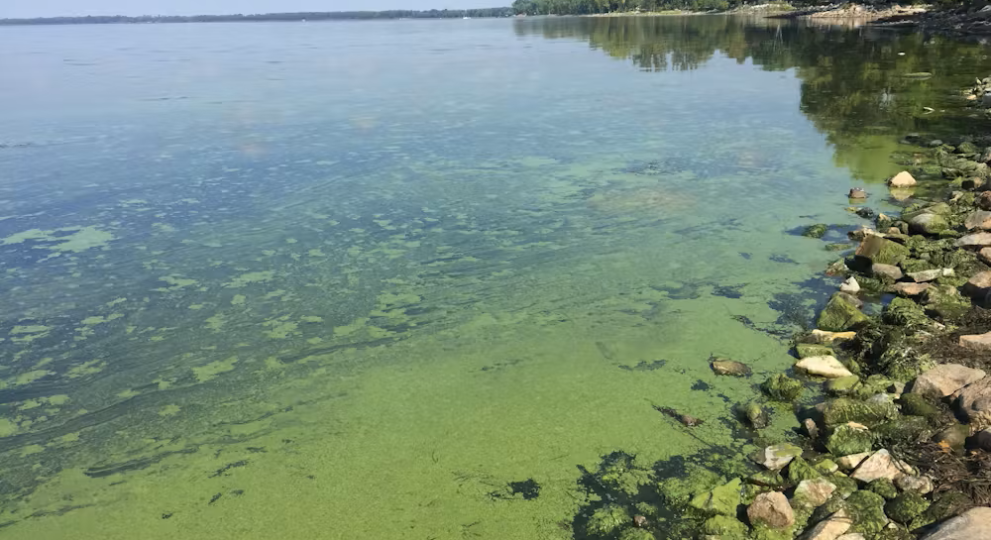 Déclinaisons sur l’eau
