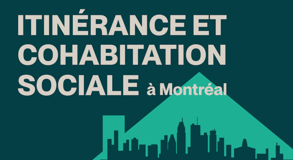 Le portrait de l'itinérance