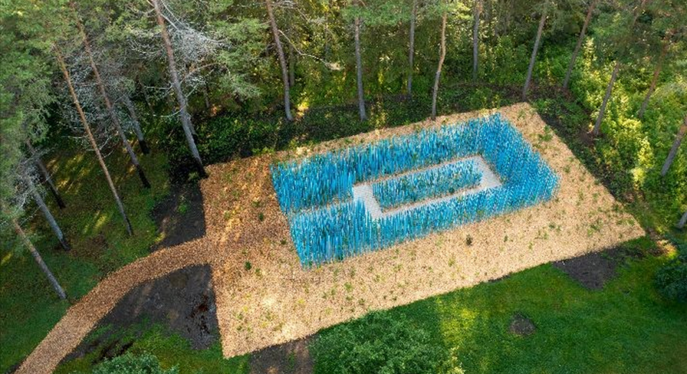 La forêt de bâtons bleus prend racine