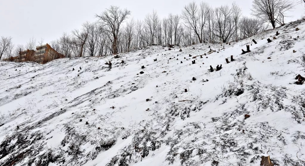 Geste troublant – Coupe à blanc dans la falaise du Cap Blanc