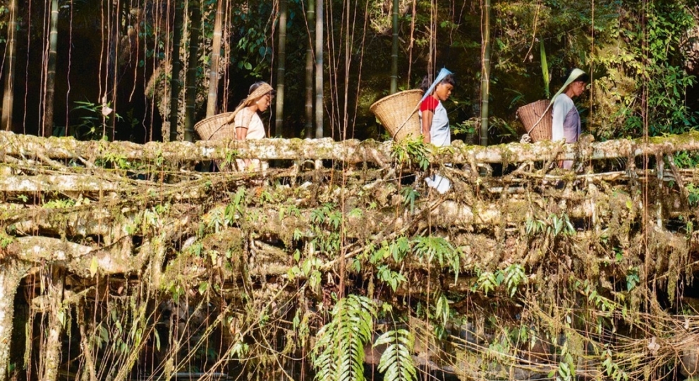 Le mouvement low-tech – Mieux construire