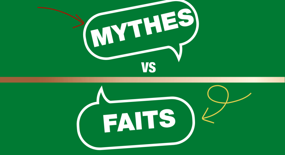 Démystifier les mythes courants sur l’isolation en mousse giclée