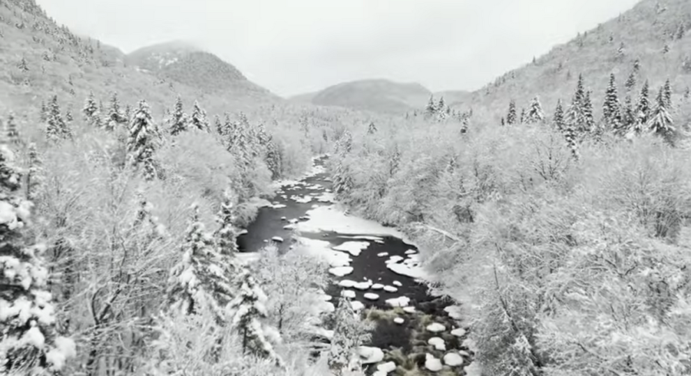 Revitaliser les territoires &ndash; Projet de soci&eacute;t&eacute;, id&eacute;al de civilisation
