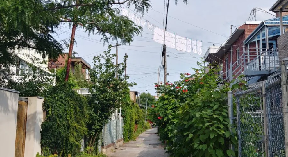 Ruelles et traditions